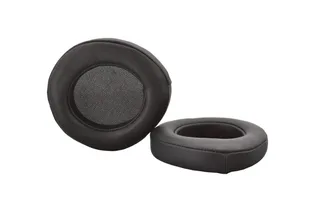 HifiMan Susvara & HE1000se