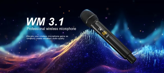 iCON Pro Audio WM 3.1 Wireless Microphone System
