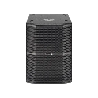 R15S - 15” ACTIVE WOODEN SUB 120V NA