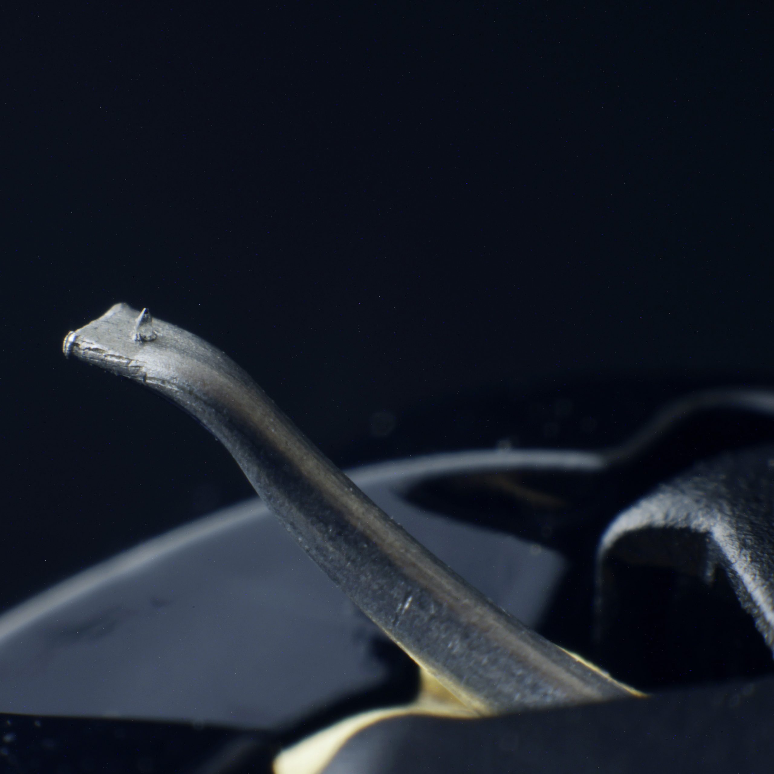 JICO Clipper J-571 gallery 4