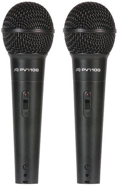 Peavey PVi 100 (2 Pack) gallery 1