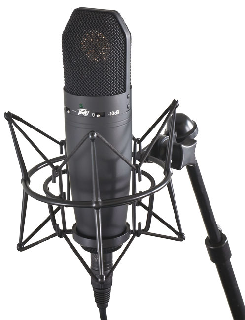 Peavey Studio Pro M1 gallery 3