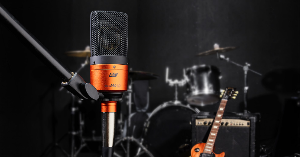 ESI cosMik 10 Professional Studio Condenser Microphone gallery 3