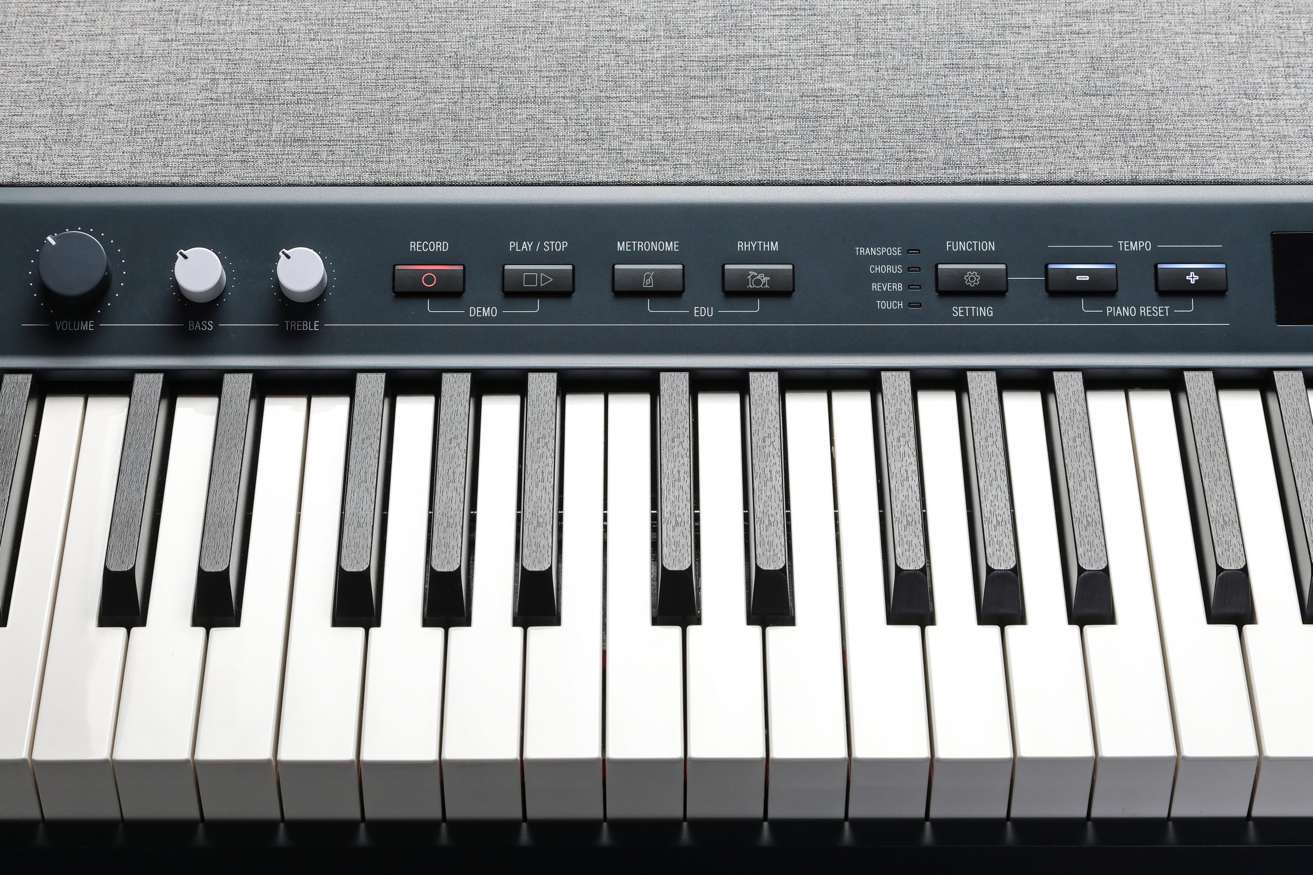 Kurzweil KaP1 Digital Piano (K-Blue) gallery 6